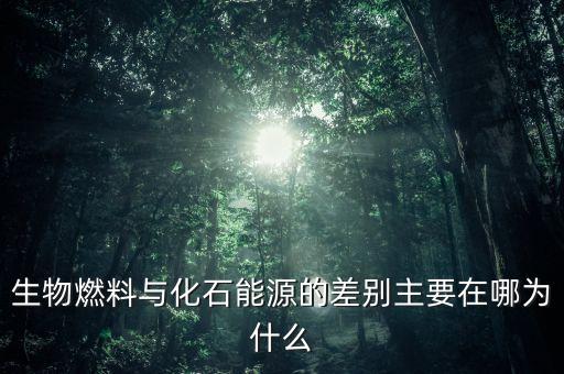 為什么非化石能源，生物燃料與化石能源的差別主要在哪為什么