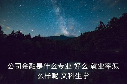 什么叫公司金融，公司金融是什么專業(yè) 好么 就業(yè)率怎么樣呢 文科生學(xué)