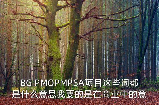 BG PMOPMPSA項(xiàng)目這些詞都是什么意思我要的是在商業(yè)中的意