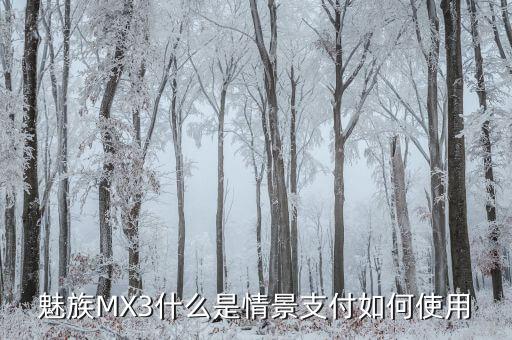 什么叫支付場(chǎng)景，魅族MX3什么是情景支付如何使用