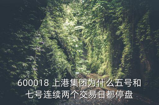 600018 上港集團(tuán)為什么五號(hào)和七號(hào)連續(xù)兩個(gè)交易日都停盤(pán)