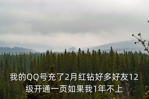 我的QQ號(hào)充了2月紅鉆好多好友12級(jí)開(kāi)通一頁(yè)如果我1年不上