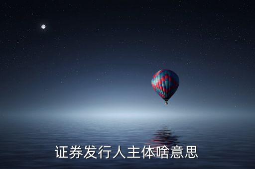 什么是股票發(fā)行人，發(fā)行人的概念是什么