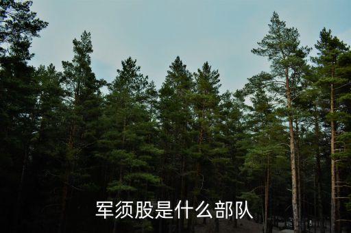 軍需股負(fù)責(zé)什么，軍區(qū)股是具體做什么的