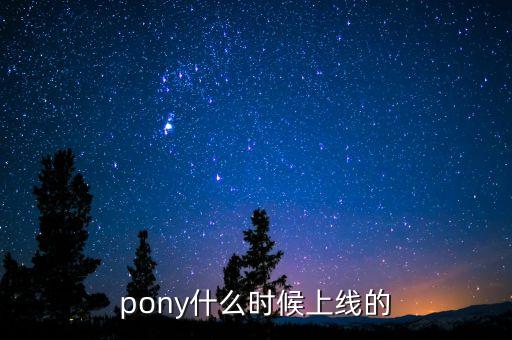 天加利什么時候上線，pony什么時候上線的