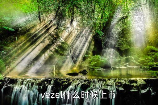 維珍妮集團什么時候上市，vezel什么時候上市