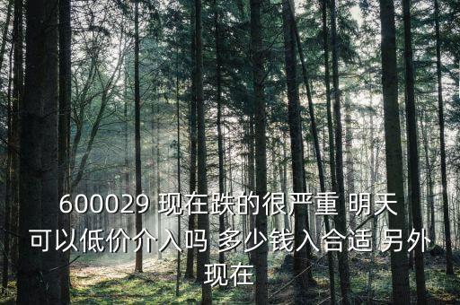 粵傳媒今天什么跌這么厲害，600029 現(xiàn)在跌的很?chē)?yán)重 明天可以低價(jià)介入嗎 多少錢(qián)入合適 另外現(xiàn)在