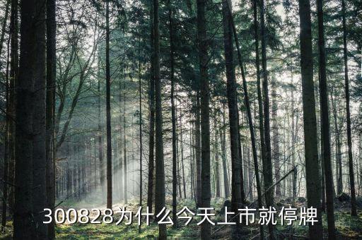 300208為什么停牌，股票300208為什么原因證監(jiān)會(huì)調(diào)查