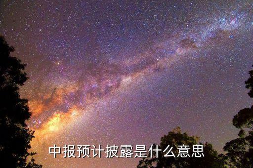 預(yù)先披露是什么意思，中報(bào)預(yù)計(jì)披露是什么意思