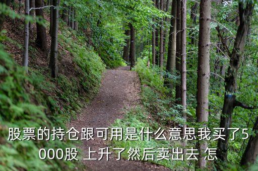 股票的持倉跟可用是什么意思我買了5000股 上升了然后賣出去 怎