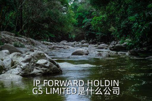 IP FORWARD HOLDINGS LIMITED是什么公司