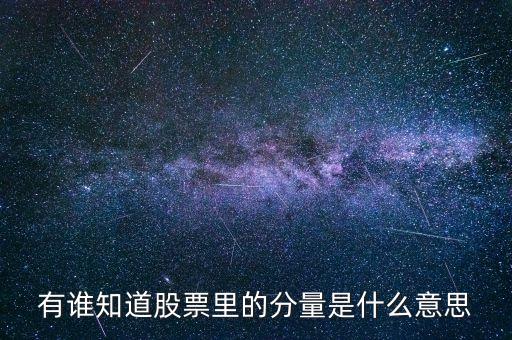 股票中的分時量是什么，有誰知道股票里的分量是什么意思