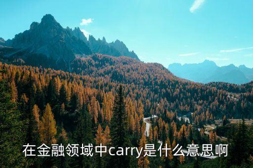 在金融領(lǐng)域中carry是什么意思啊