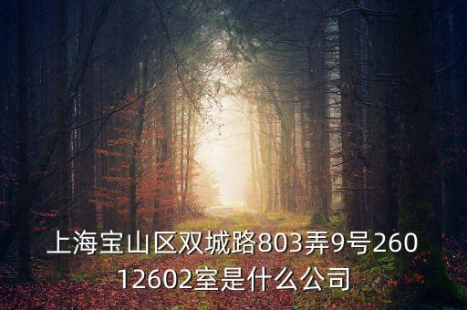 上海柏智方德是什么公司，上海寶山區(qū)雙城路803弄9號(hào)26012602室是什么公司