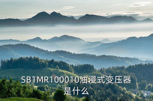 油浸式變壓器什么是酚推，SB1MR100010油浸式變壓器是什么