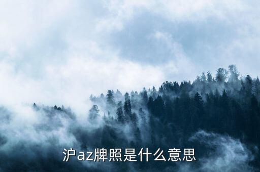 滬az牌照是什么意思