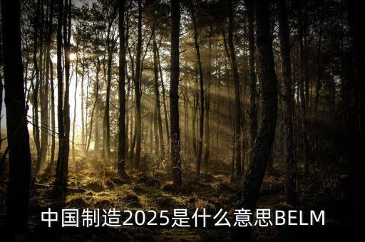 2025規(guī)劃是什么，中國制造2025是什么意思BELM