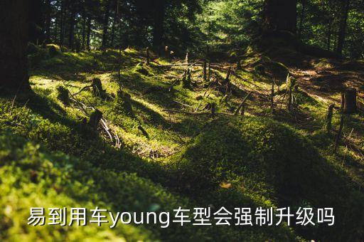 易到用車young車型會(huì)強(qiáng)制升級嗎