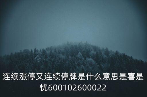 600139連續(xù)停牌是什么意思，股票連續(xù)停牌是什么意思