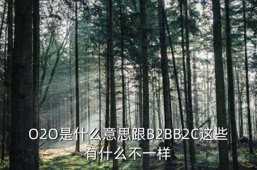 美菜網(wǎng)o2o是什么，O2O是什么意思跟B2BB2C這些有什么不一樣