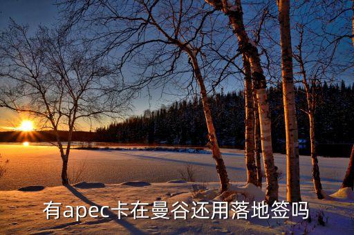 apec為什么有俄羅斯，亞太經(jīng)合組織怎么樣為什么中國1991年才加入怕俄羅斯聯(lián)邦嗎