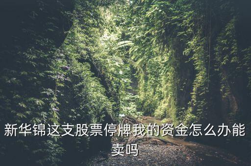 新華錦這支股票停牌我的資金怎么辦能賣嗎