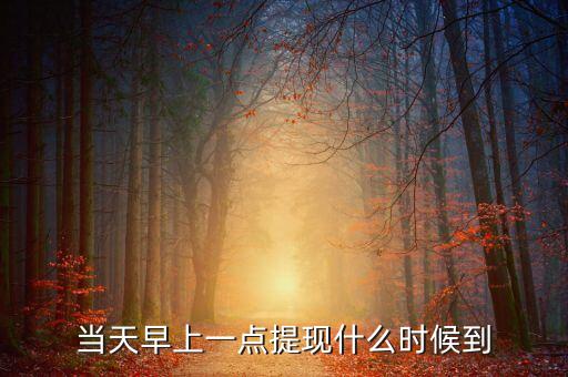 海納幣什么時候提現(xiàn)，你們那里說什么時候可以提現(xiàn)嗎