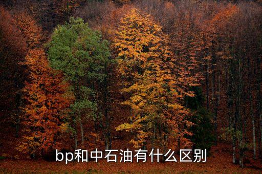 bp和中石油有什么區(qū)別