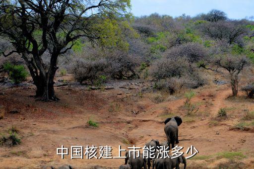 中國核建上市能漲多少