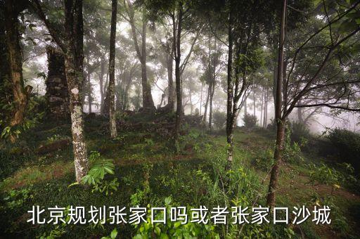 北京規(guī)劃張家口嗎或者張家口沙城