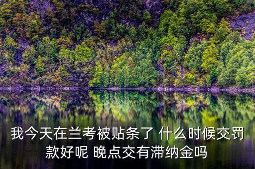 我今天在蘭考被貼條了 什么時(shí)候交罰款好呢 晚點(diǎn)交有滯納金嗎