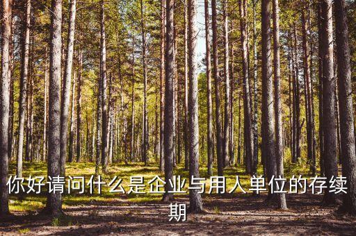 什么叫存續(xù)合同，法律上所謂的續(xù)存是什么意思