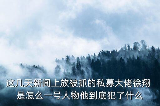 徐翔為什么會抓，澤熙投資徐翔為什么被抓徐翔被抓后私募怎么辦