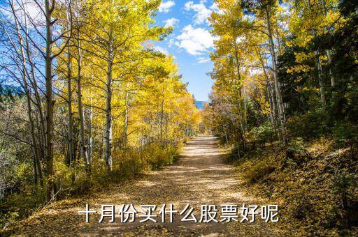 10月19日買什么股，2015年10月19日股民李先生以每股1825元的價格買進某股票100股