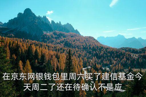 002378建信什么時候確認份額，在京東網銀錢包里周六買了建信基金今天周二了還在待確認不是應