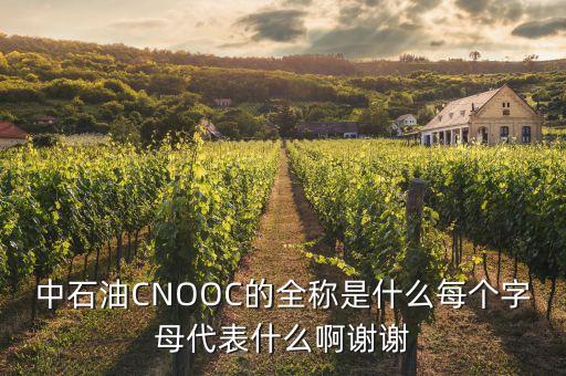 中石油CNOOC的全稱是什么每個字母代表什么啊謝謝