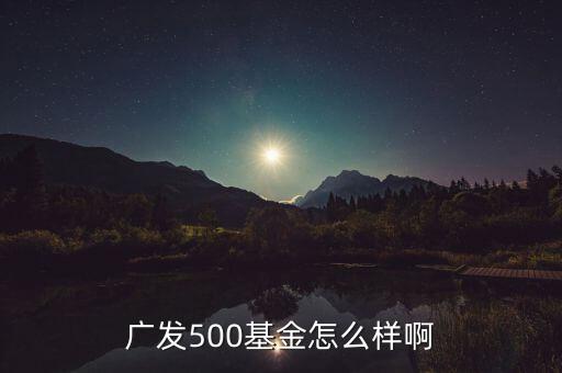 廣發(fā)500凈值為什么很低，廣發(fā)500基金怎么樣啊