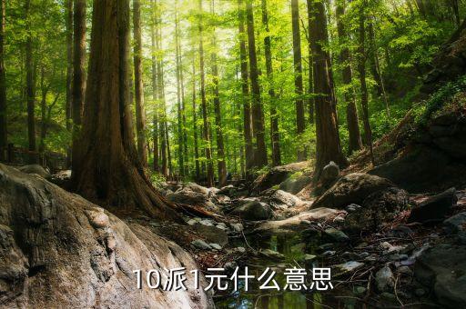 基金10派1是什么意思，山東墨龍股10轉(zhuǎn)10派1是什么意思