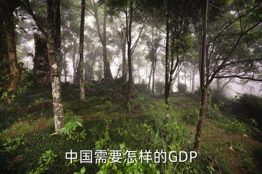 中國需要怎樣的GDP