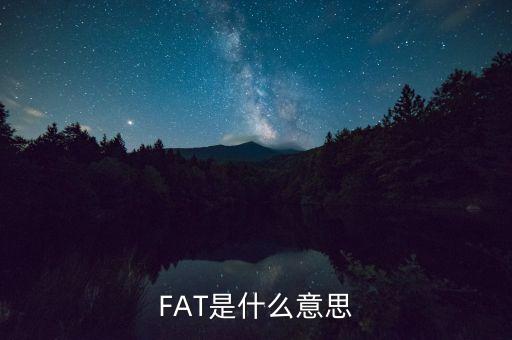 fatca指什么，F(xiàn)AT是什么意思