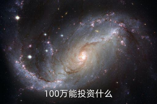 100萬可以做什么投資，投資100萬能干什么生意