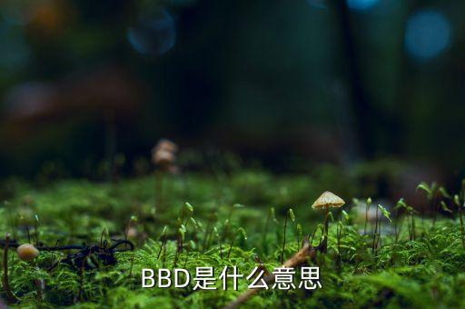 BBD是什么意思