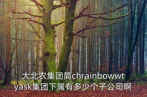 大北農(nóng)集團(tuán)簡chrainbowwtyask集團(tuán)下屬有多少個(gè)子公司啊