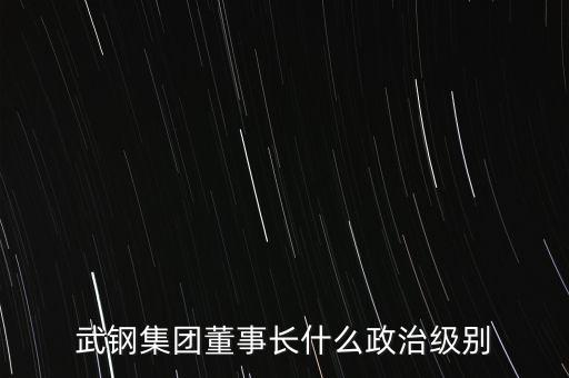 武鋼集團董事長什么政治級別