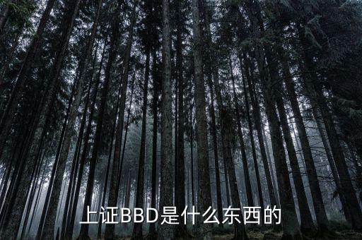 bbd凈差是什么意思，上證BBD是什么東西的