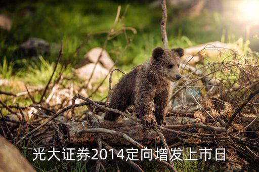 光大證券2014定向增發(fā)上市日