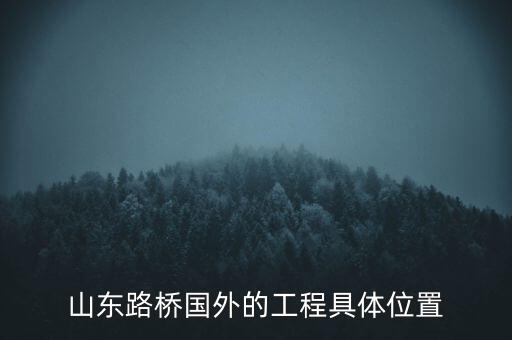 山東路橋國(guó)外的工程具體位置