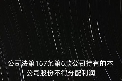 公司法第167條第6款公司持有的本公司股份不得分配利潤