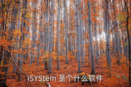 iSYStem 是個(gè)什么軟件