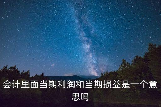 當(dāng)期利潤是指什么意思，當(dāng)期利潤當(dāng)期應(yīng)付利息等等中的當(dāng)期是什么含義